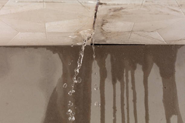 Professional Flood Damage Cleanup technician working in Caledonia, OH